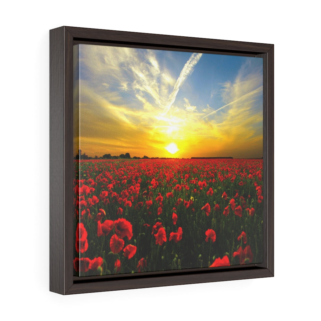 Poppies at Sunrise Square Framed Premium Gallery Wrap Canvas 4 Sizes