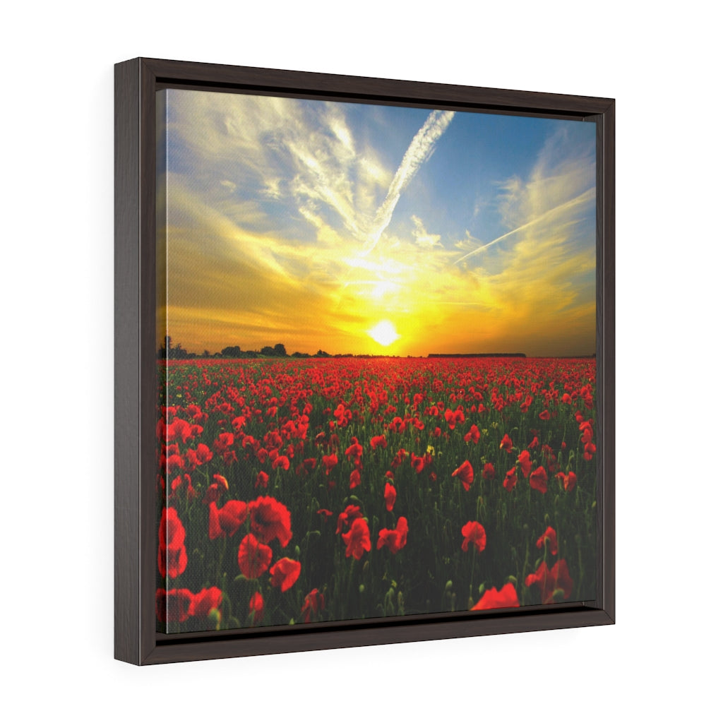Poppies at Sunrise Square Framed Premium Gallery Wrap Canvas 4 Sizes